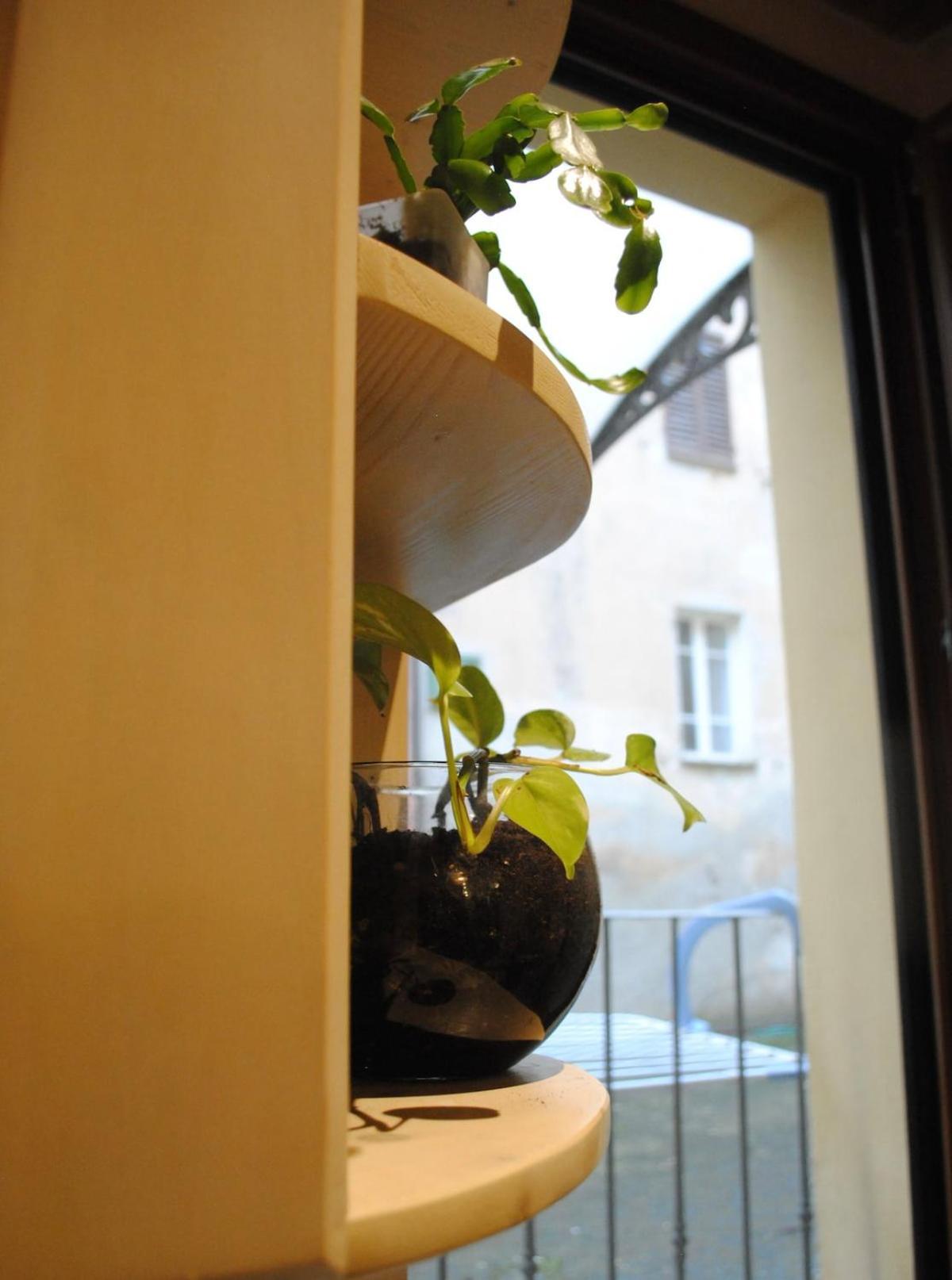 Sun Flowers House Pitigliano Ngoại thất bức ảnh